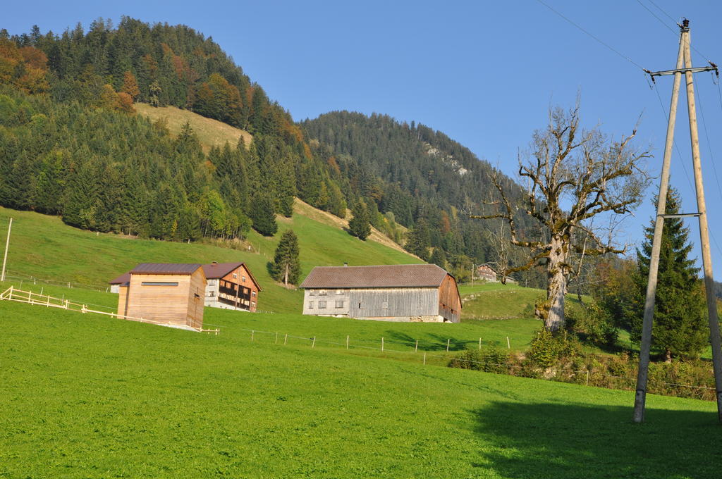Gaestehaus Graf Bezau Habitación foto